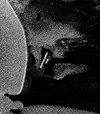 Discoverer-14 image, August 18, 1960